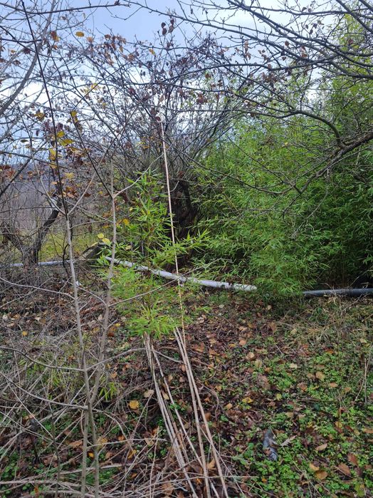 Парцел вилна зона с. Кичево