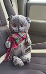 Мягкие игрушки. Подарки. Кот Басик. Басик. Котик.