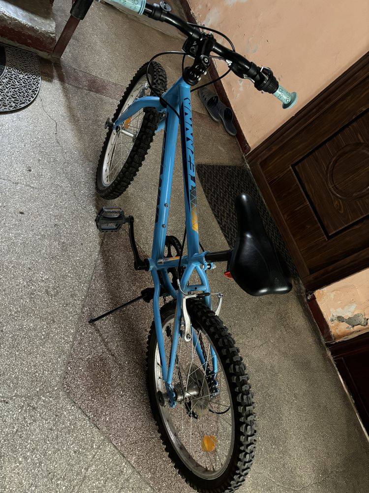 Bicicleta teranna copii