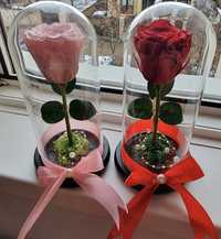 Trandafir rosu in cupola de 17-20-25 cm