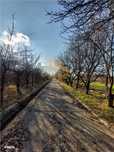 Onești | Teren 33 ha cu utilități • Se vinde integral s