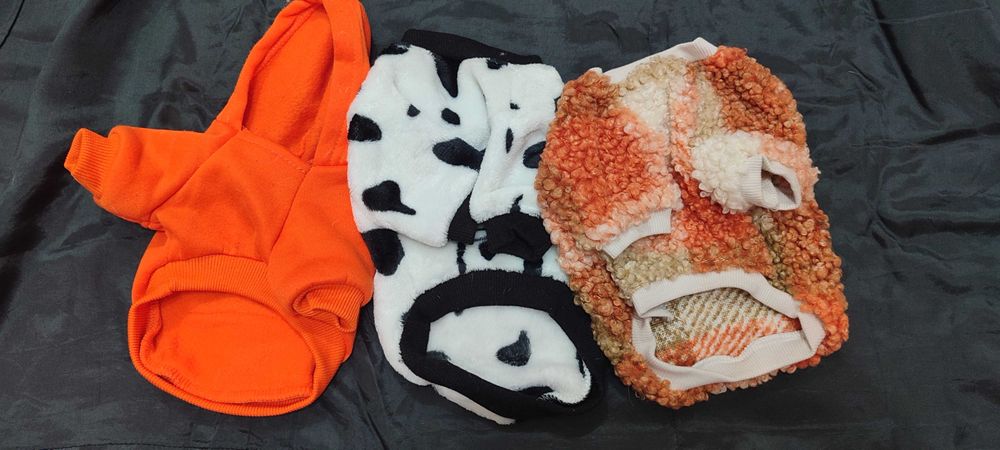 Одежда для маленьких собачек