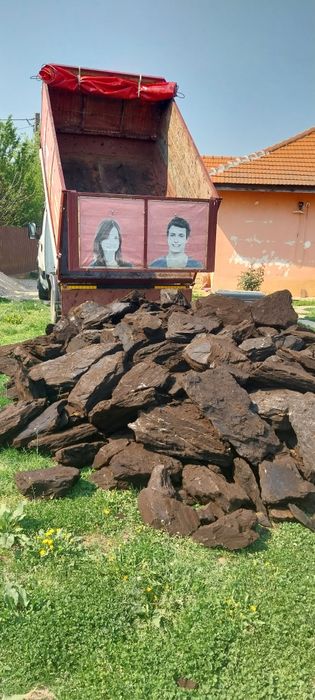 Lemne și cărbune sortat