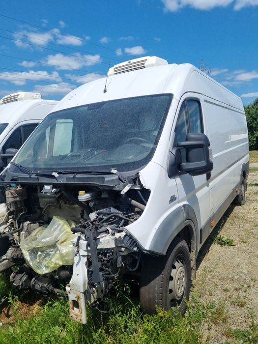 Fiat Ducato maxi frigorifice