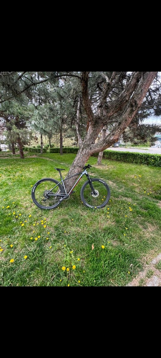 Scott scale 970 2022