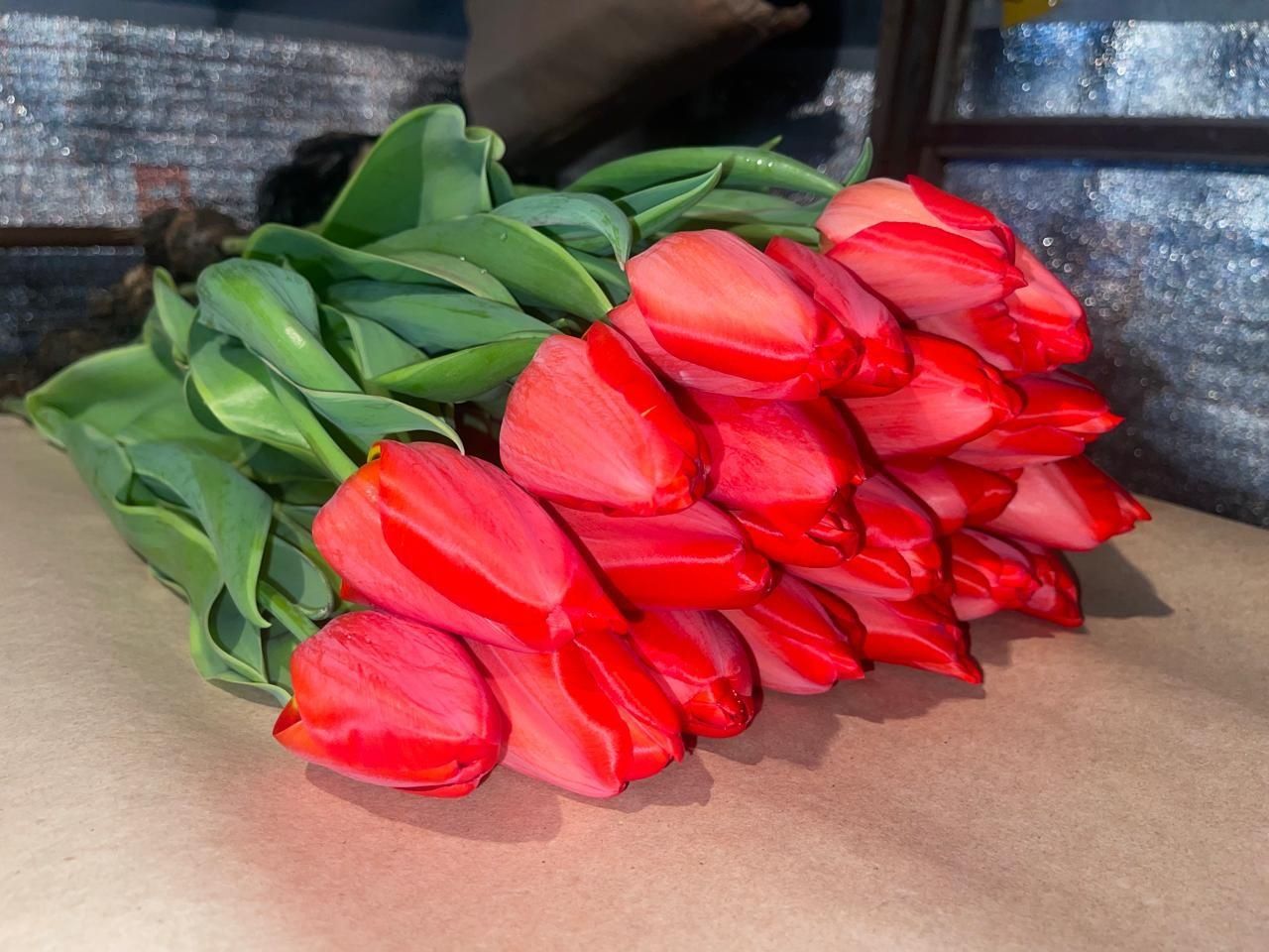 Тюльпаны к празднику  8 марта оптовая продажа с собственых теплиц!