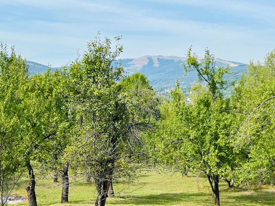 Teren intravilan Breaza
