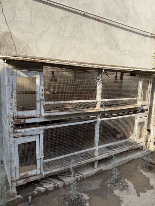 Паррандалар учун кафаслар сотилади