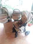 Carucior 3 in 1 Poema White-Beige Ed. Limitata - Krausman - Testat ADA