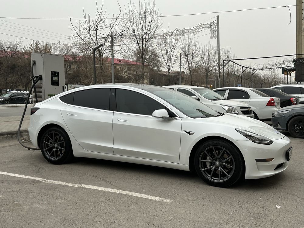Tesla model 3 standart