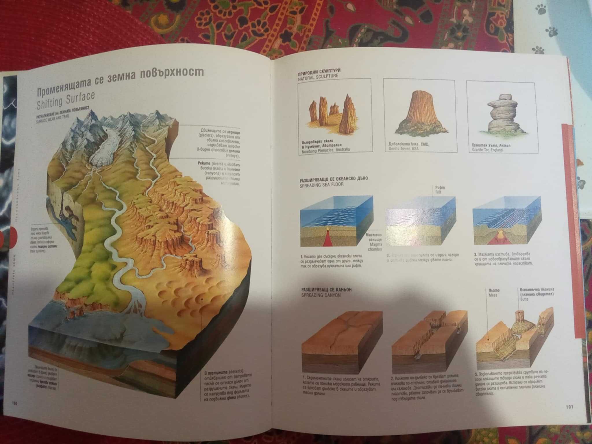 Илюстрован тематичен речник  - БЪЛГАРО-АНГЛИЙСКИ