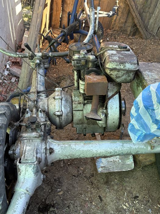 Косача лабардони