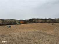 RECO , teren intravilan in Tomnatic, Vadu Crisului