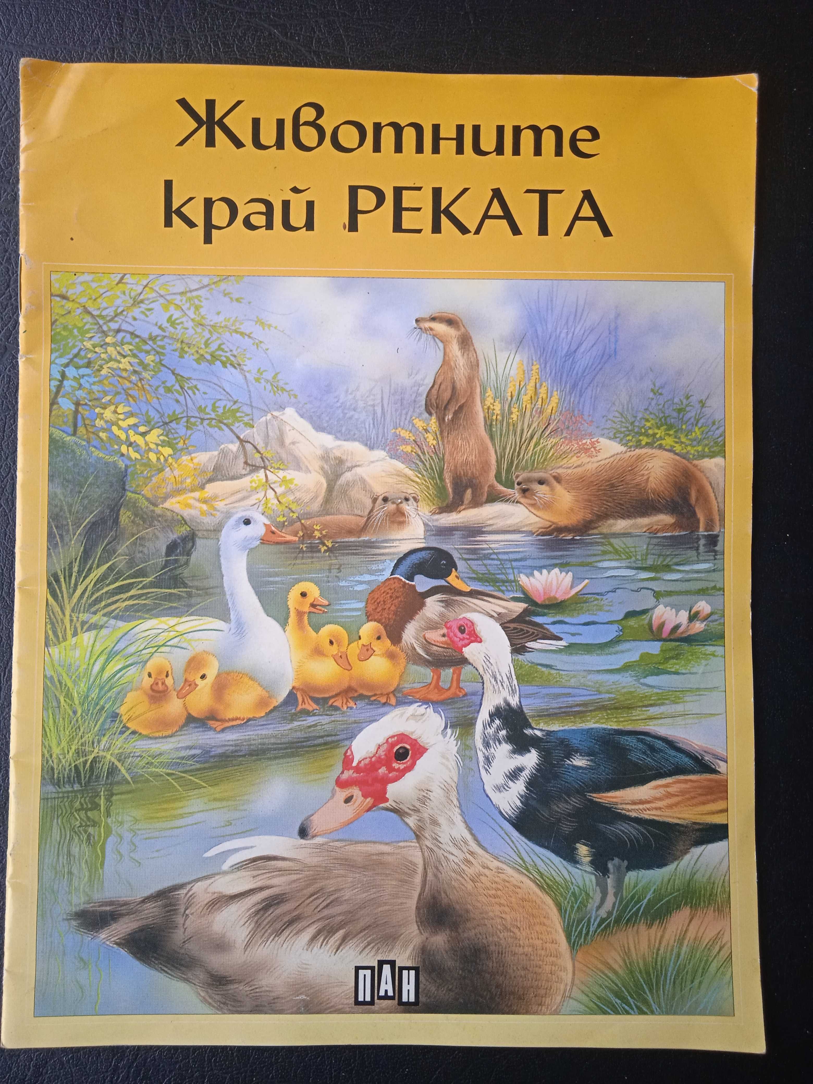 Животните край реката