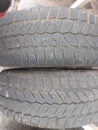 Cauciucuri iarna 205/65 R15