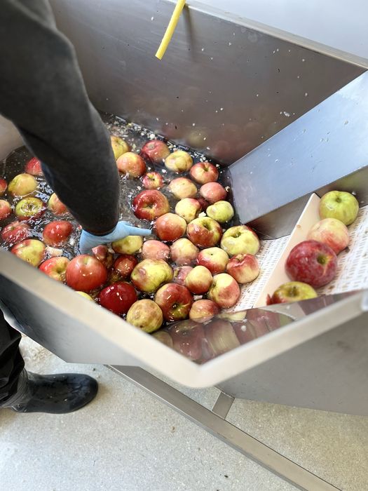 Sucuri Naturale Brasov