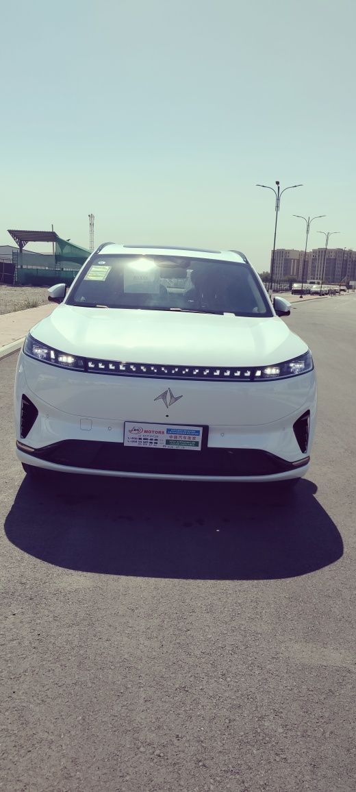 Dongfeng008Max2025