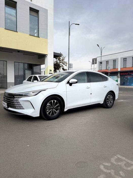 Byd chazor 55 full