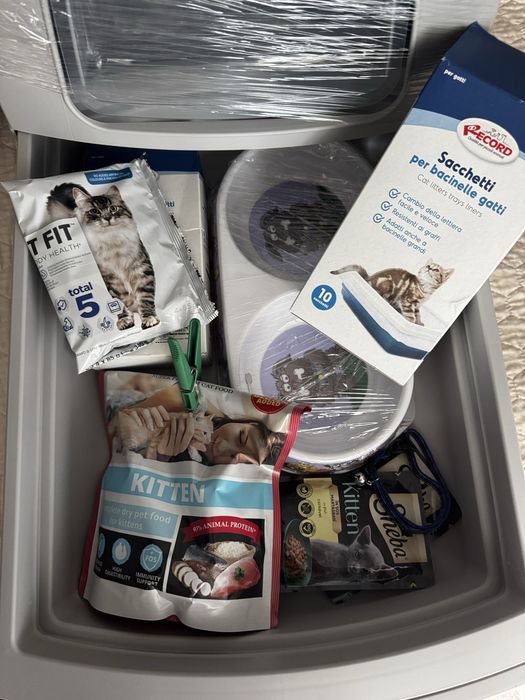 Set accesorii pentru pisici (litiera, asternut,mancare, zgardita)