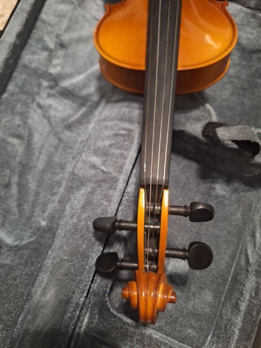 Vioara 3/4 Elite (Avansat) ulei Hora Reghin an 2022