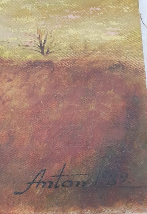 Pictură pe pânză semnată 70/50