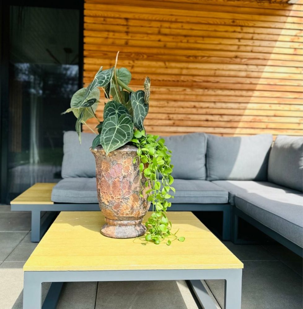 greenscape - peisagistică, grădinărit, întreținere spații verzi