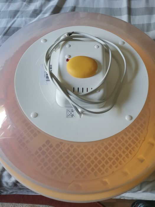 Incubator 60 ouo