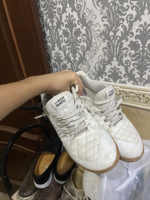 Сатылады лунар гато хорошим состояний