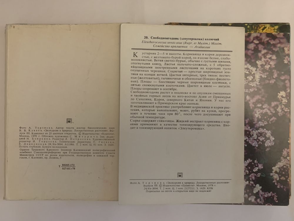 Лекарственные растения ( наборы открыток СССР)