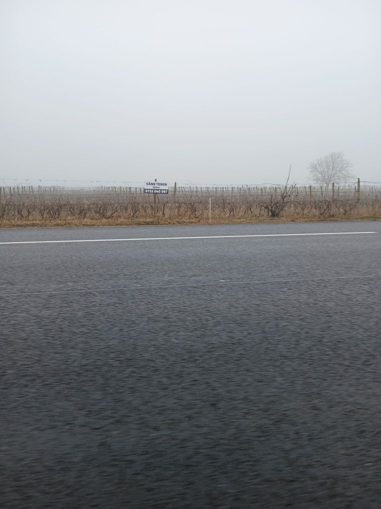 Vând teren la șoseaua națională E85 Dumbrăveni