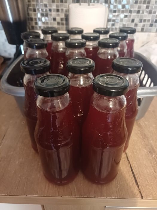 Sirop de zneura si soc