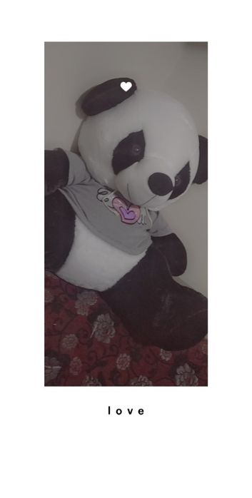 Panda yumshoq oʻyinchoq sotiladi