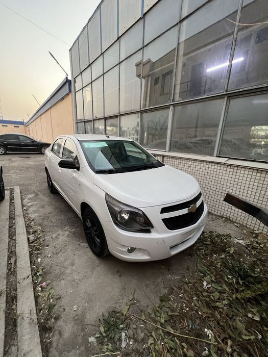 Cobalt Midnight 2025