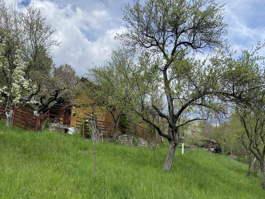 Vand ferma 1,6 ha livada pruni si faneata Valea Mare Pravat