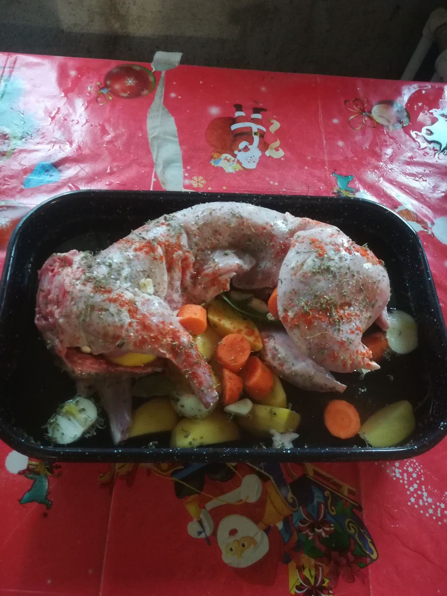 Carcasă iepure tineret
