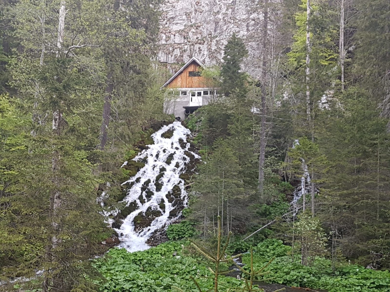 Excursii în Munții Bucegi, din Bușteni sau Sinaia și cazare Studio 31