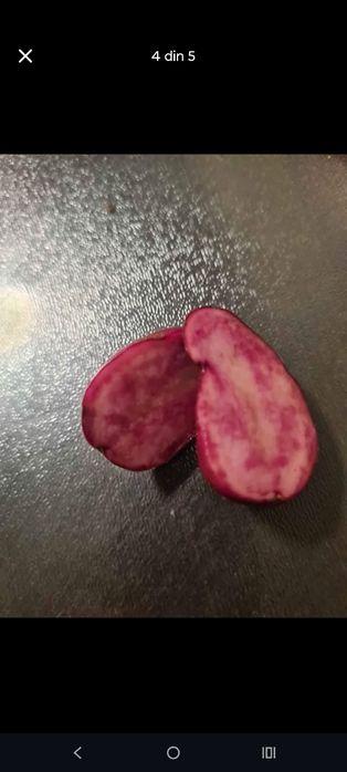 De vânzare cartofi mov purple mayesti