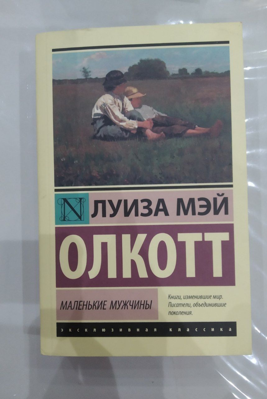 Книга: Луиза Мей Олкотт "маленькие мужчины"