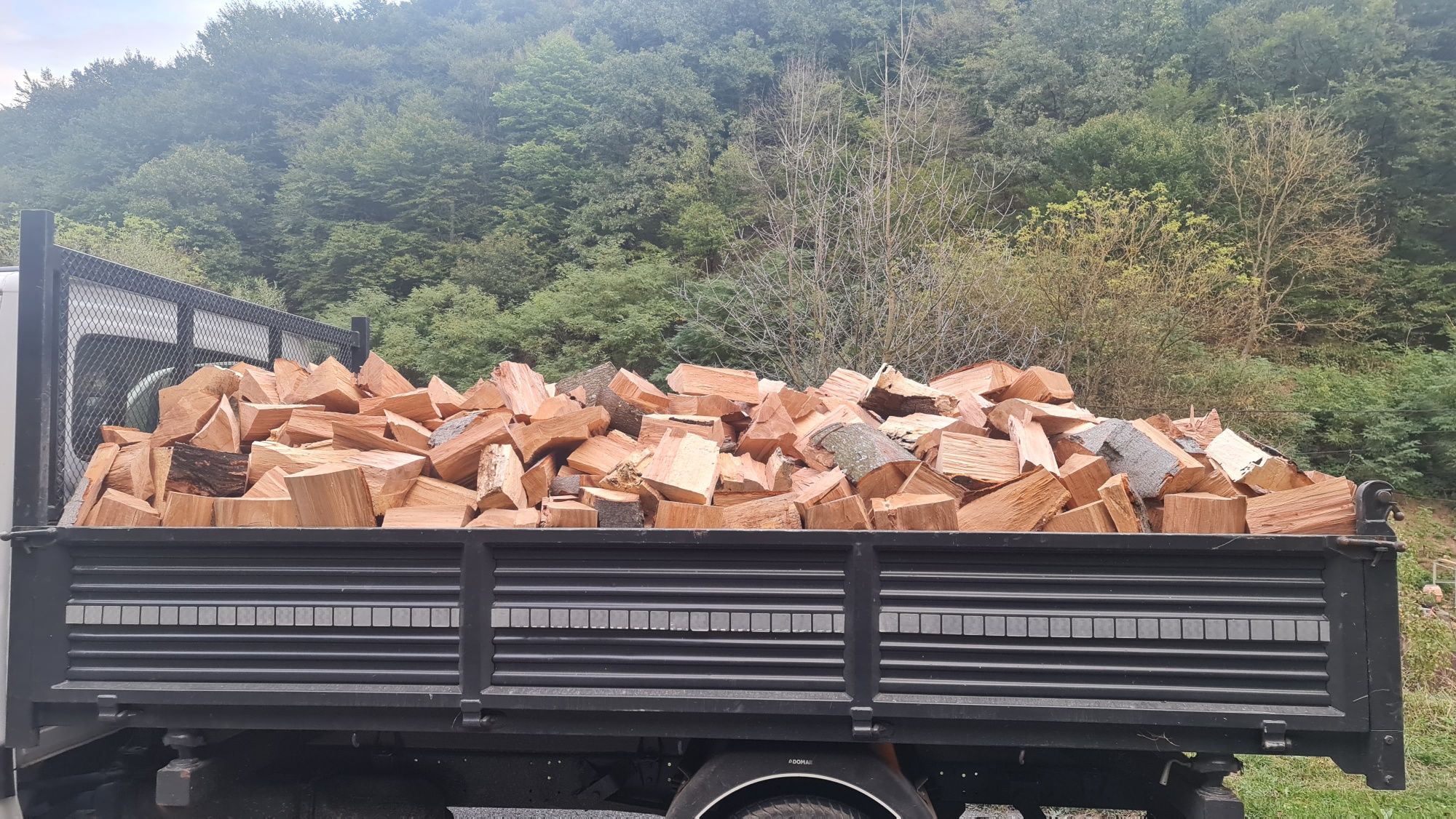 Lemn de foc esenta tare