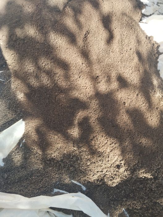 Биогамус сотилади