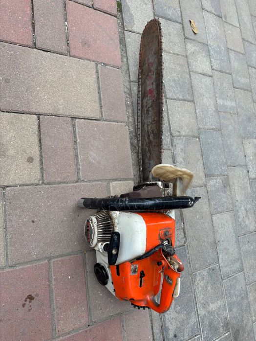 Drujba stihl de vanzare