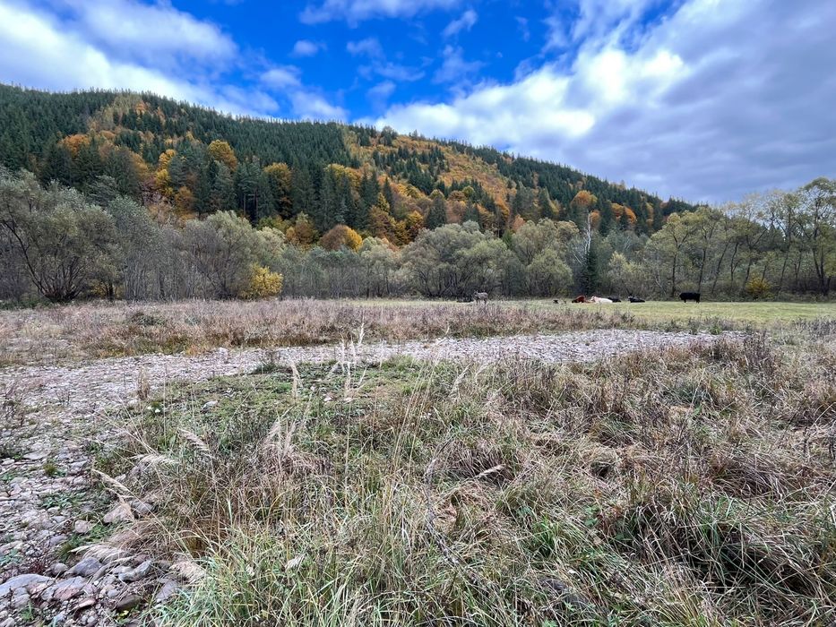 Teren de vânzare în Vărșag