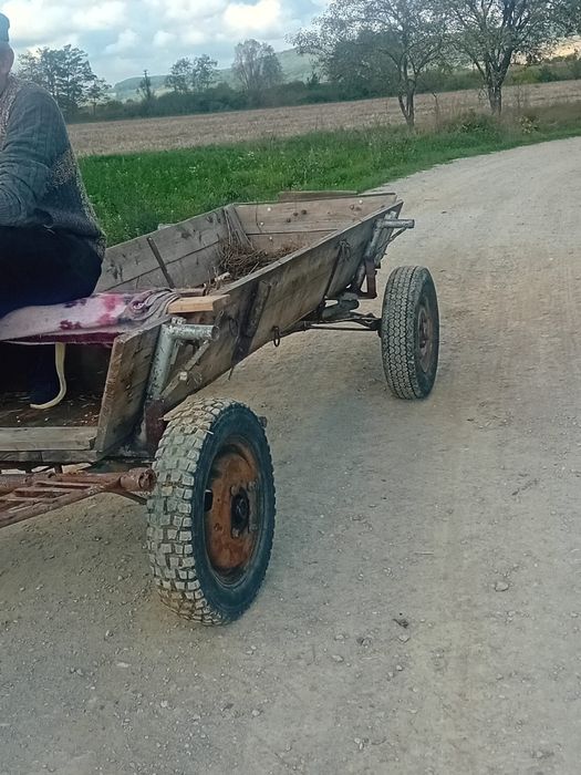 Vând iapa de 9/10 ani