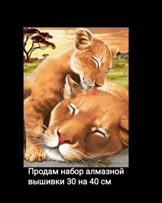 Продам набор алмазной вышивки