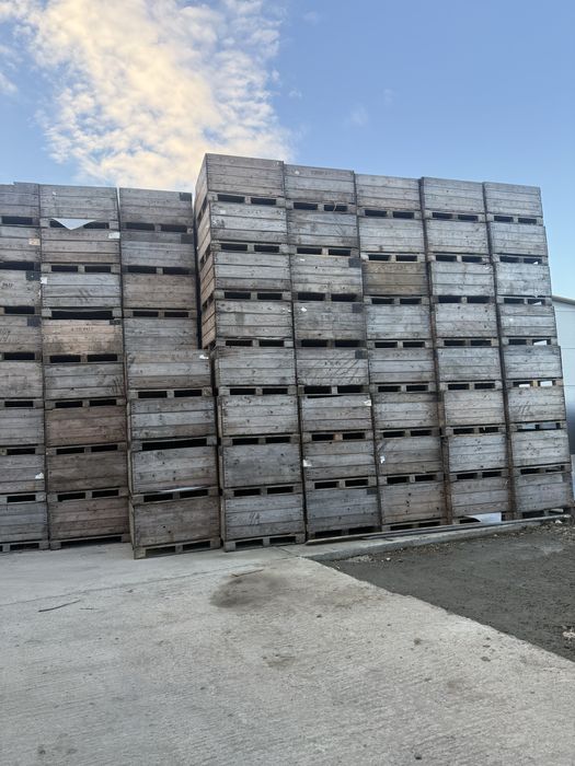 Boxpaleti lemn , lazi  lemn , depozitare.