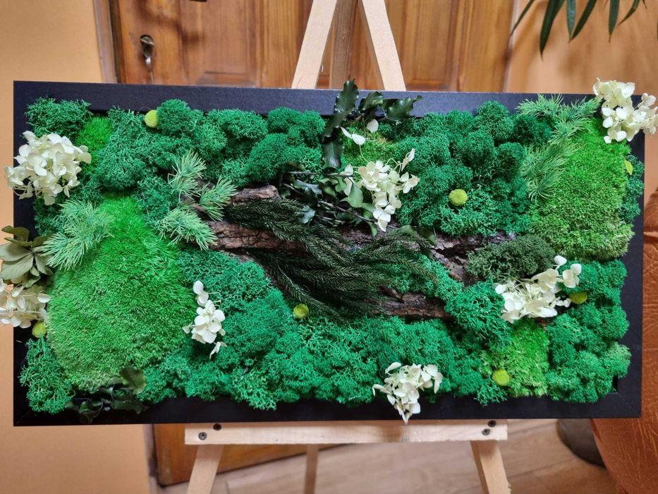 Tablouri cu licheni stabilizati