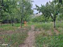 Casa si Livada de vanzare zona Pietroasele