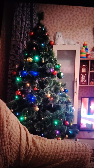 Елка не дорого , хорошая