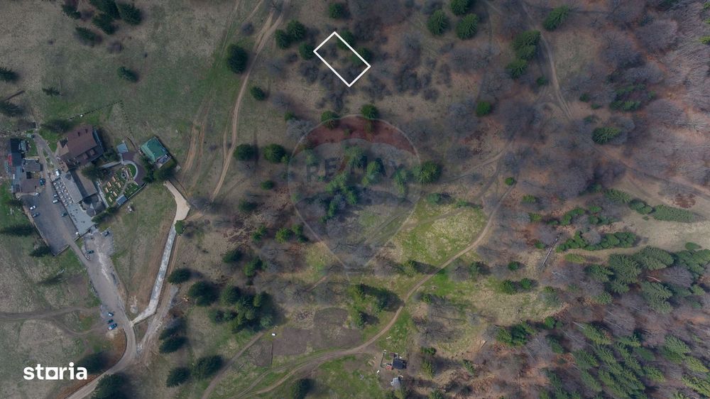 Teren de vânzare – 1000 mp în Poiana Mică | Investiție ideală!