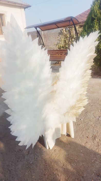 Крылья ангела золотистого цвета